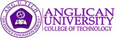 AnguTech